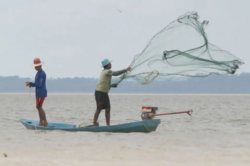 AM é o 3º estado com mais pedidos de Seguro-Defeso; prazo vai até junho