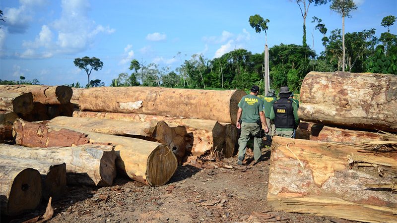 Fiscais do Ibama sofrem emboscada durante operação no Sul do Amazonas