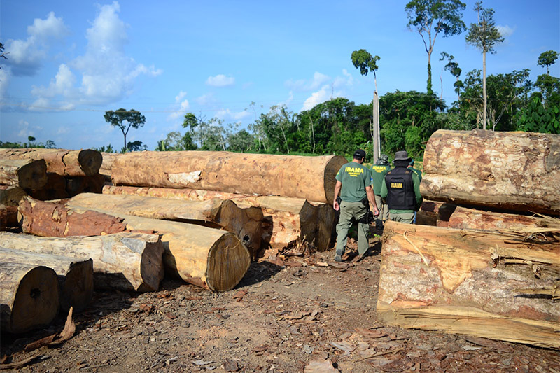 Fiscais do Ibama sofrem emboscada durante operação no Sul do Amazonas