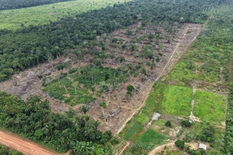 Operação Tamoiotatá 6 aplica multas no AM que superam R$ 28,2 milhões