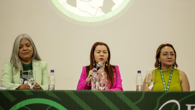 Dia Internacional das Florestas e da Árvore: futuro sustentável depende da colaboração internacional para preservação das áreas verdes