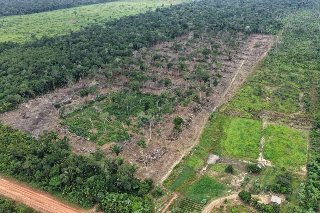Operação Tamoiotatá 6 reforça combate ao desmatamento no Amazonas até 2026