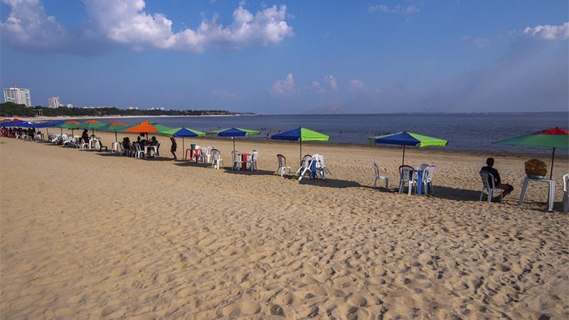 Nova lei permite presença de animais em praias e balneários de Manaus
