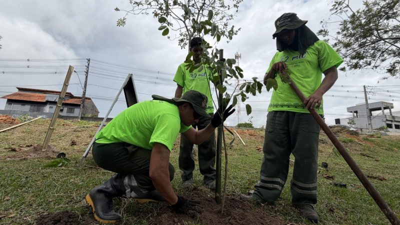 Prefeitura de Manaus realiza plantio de 13.400 mudas como parte da estratégia de arborização da capital amazonense