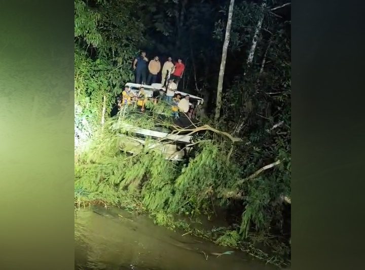 Lancha atravessa vegetação às margens de rio e fica ecalhada no AM