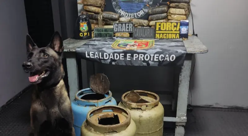 Cão farejador encontra drogas escondidas em botijões durante operação no interior do Amazonas