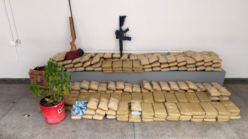 Casal é preso com 300 quilos de skunk avaliados em R$ 6 milhões dentro de casa em Manaus