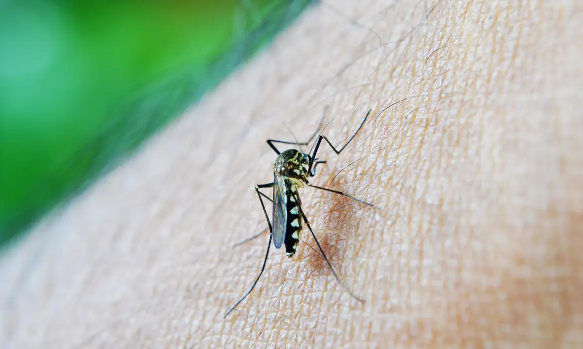 Estudo alerta para relação da dengue com a Síndrome de Guillain-Barré