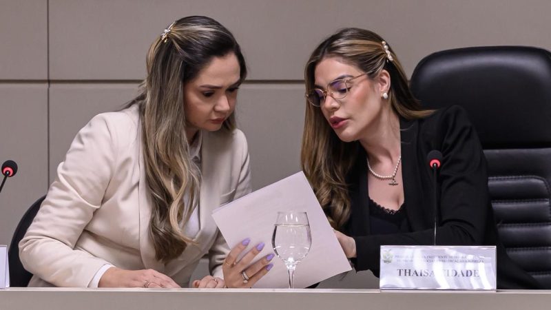 Primeira-dama Thaisa Cidade participa da 1ª Reunião Ordinária do Conselho Deliberativo do FPS