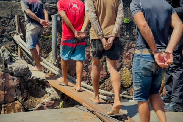 Quatro homens são presos suspeitos de dopar animais para fotos com turistas no AM