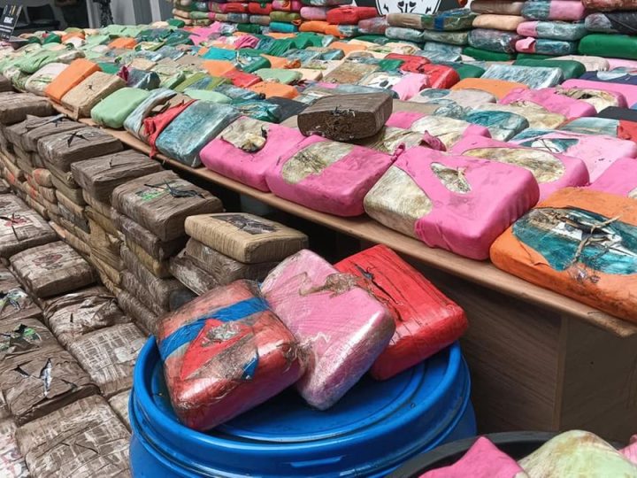 Polícia apreende 700 kg de drogas em duas grandes operações no AM