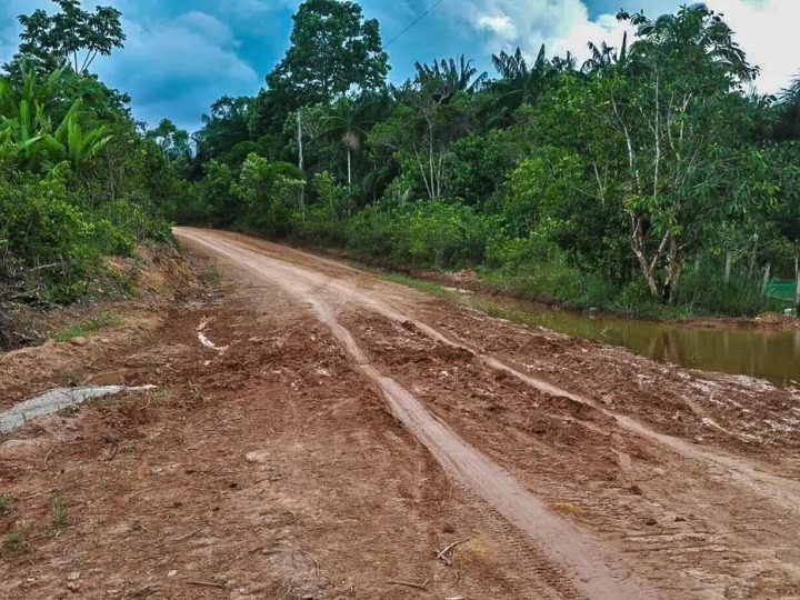 Segunda licitação do trecho do meio da BR-319 já tem empresa habilitada