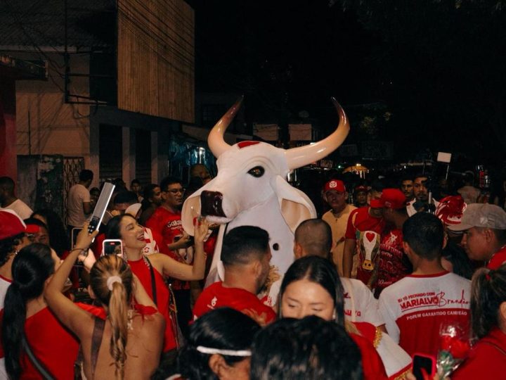 Boi Garantido leva fé, rosas e tradição às ruas de Parintins na Ladainha de Santo Antônio