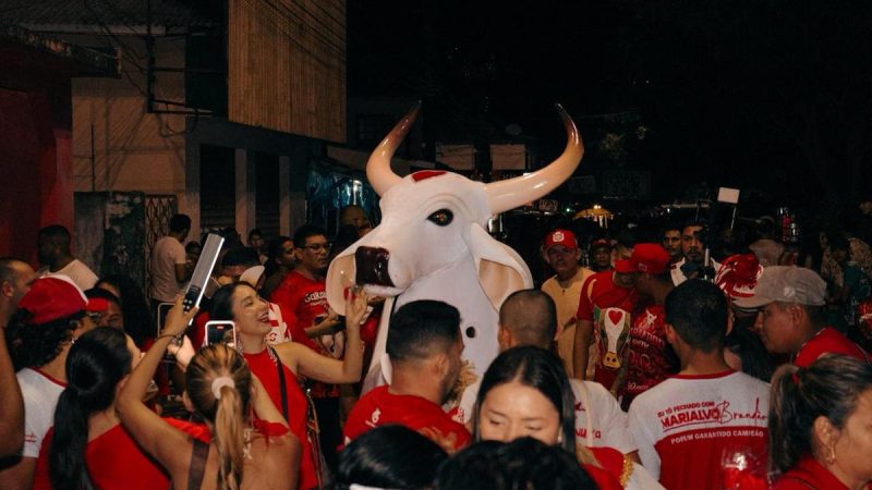 Boi Garantido leva fé, rosas e tradição às ruas de Parintins na Ladainha de Santo Antônio
