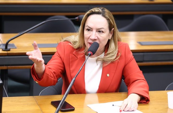 Comissão aprova projeto que cria diretrizes nacionais para as Rondas Maria da Penha