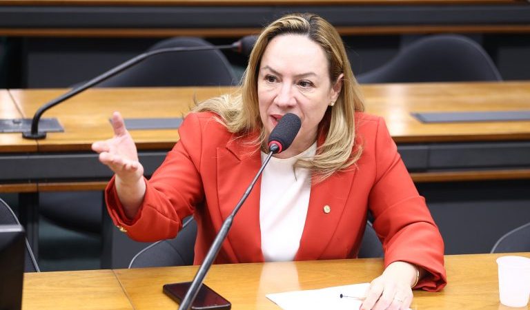 Comissão aprova projeto que cria diretrizes nacionais para as Rondas Maria da Penha