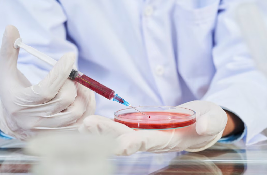 Junho Laranja: saiba por que é importante avaliar a saúde do sangue e como fazer