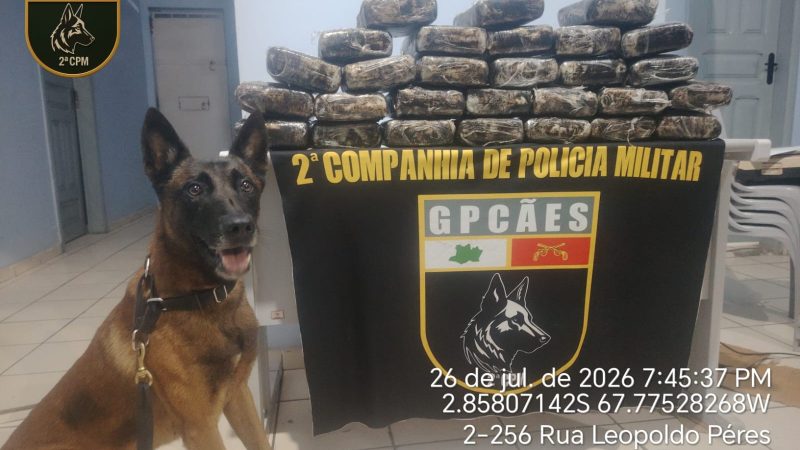 *Forças de Segurança apreendem mais de 32 kg de drogas durante fiscalização em Tonantins*