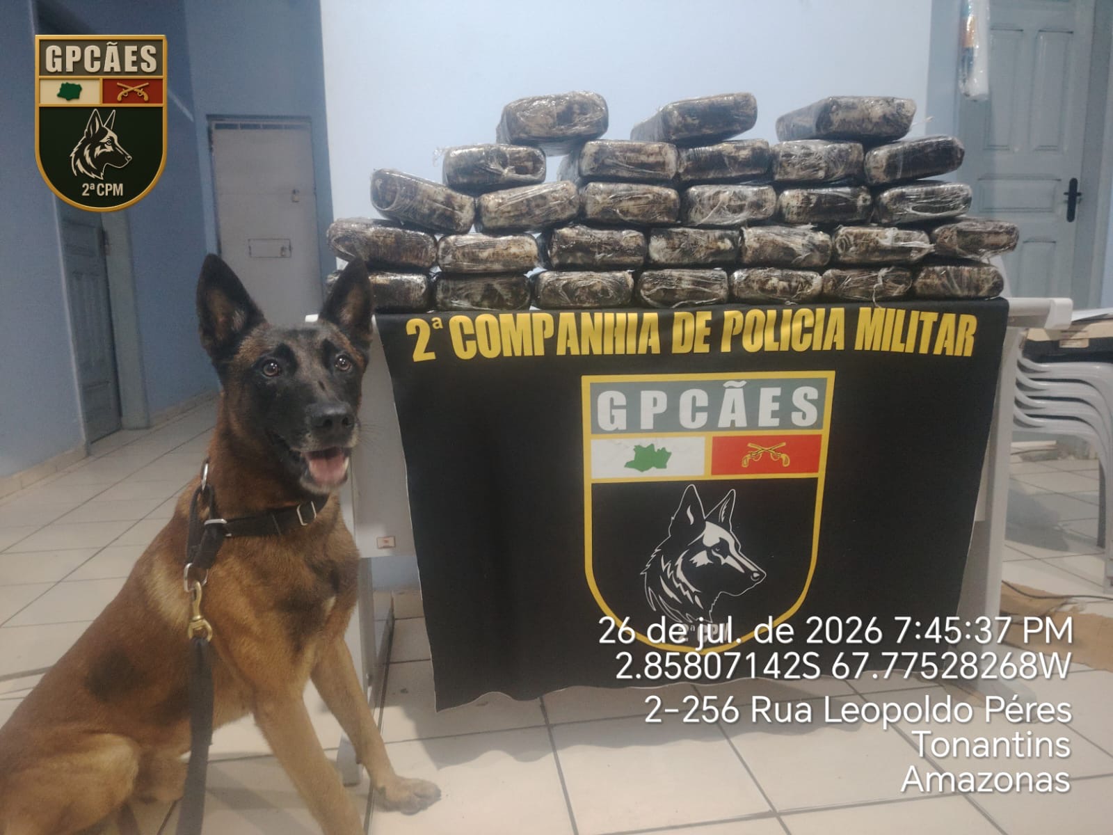 *Forças de Segurança apreendem mais de 32 kg de drogas durante fiscalização em Tonantins*