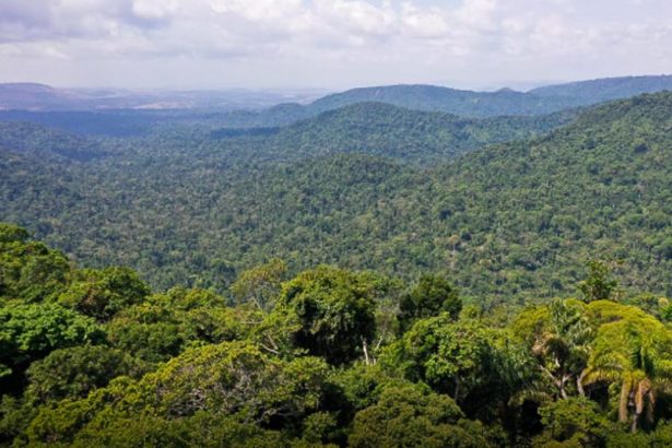 Amazônia Legal é estratégica em minerais críticos, mas não há exploração