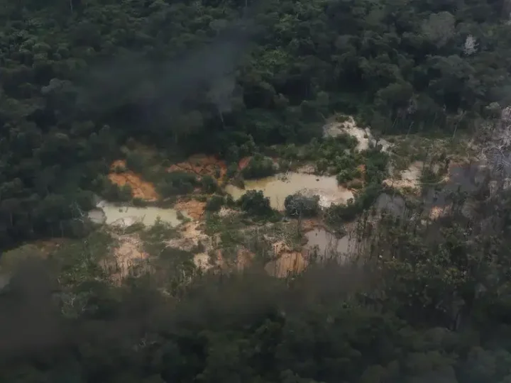 Justiça aceita denúncia contra quatro garimpeiros por danos ambientais em terras do Amazonas