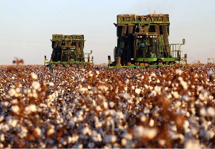 EUA adotam nova sobretaxa de 12,5% para produtos brasileiros