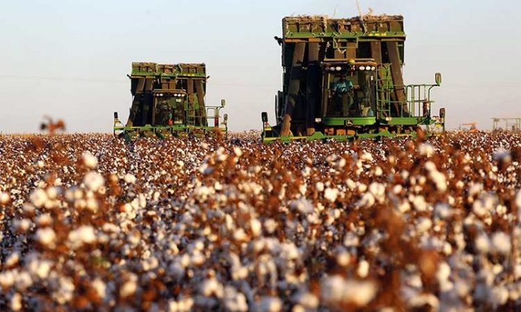 EUA adotam nova sobretaxa de 12,5% para produtos brasileiros