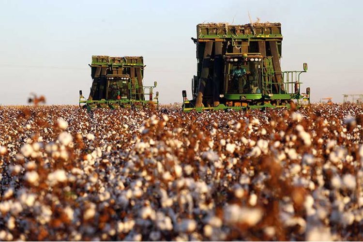 EUA adotam nova sobretaxa de 12,5% para produtos brasileiros