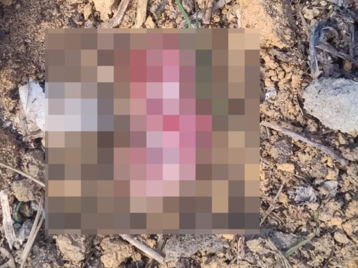 Feto é encontrado em terreno baldio no bairro João Paulo