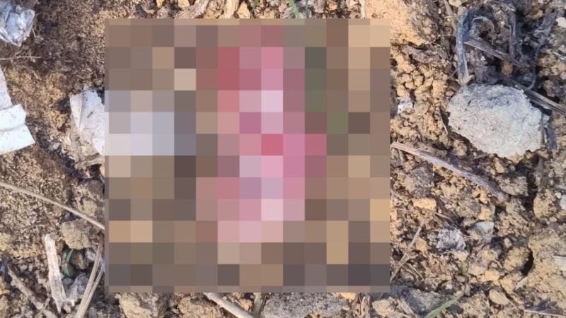 Feto é encontrado em terreno baldio no bairro João Paulo