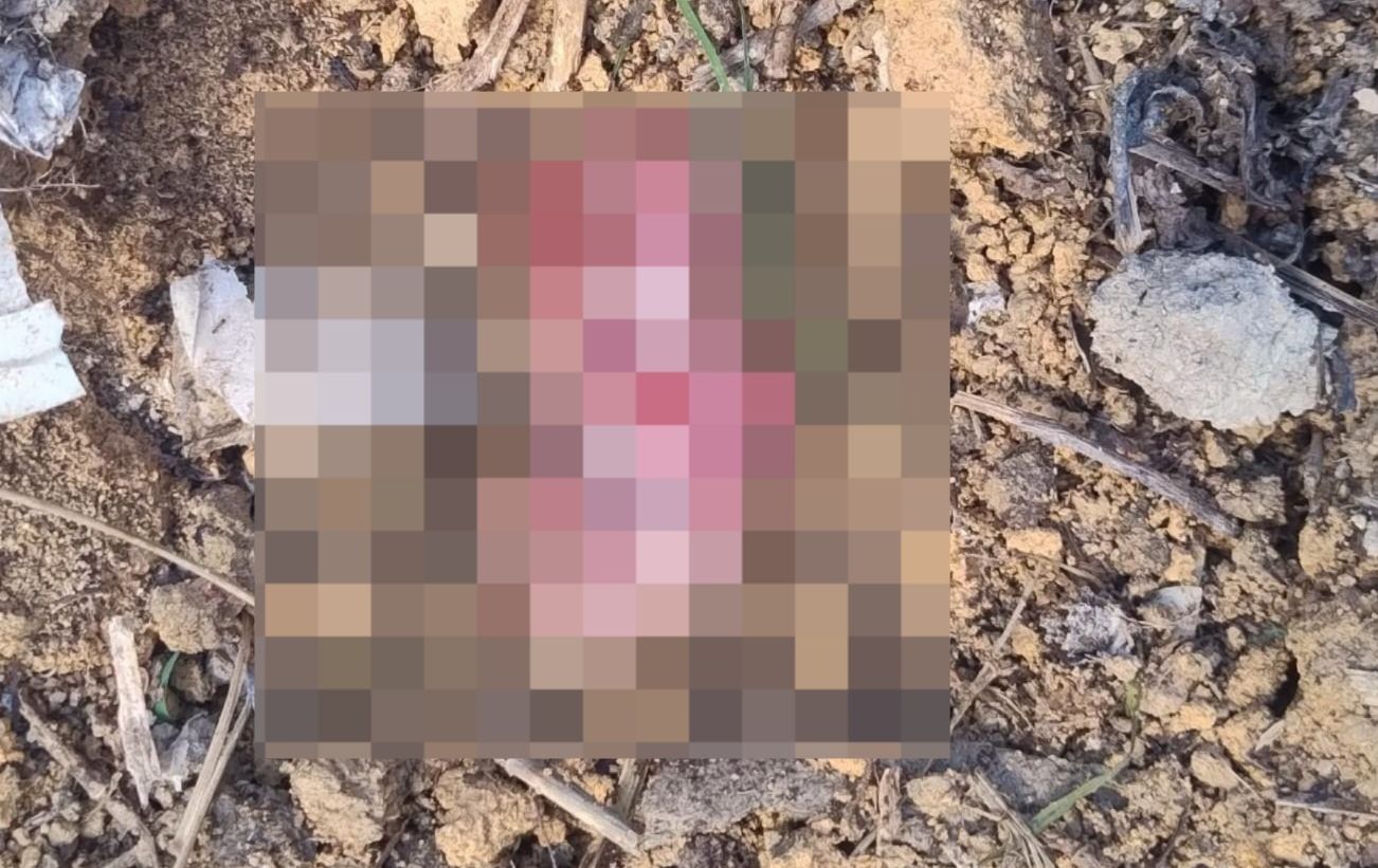 Feto é encontrado em terreno baldio no bairro João Paulo