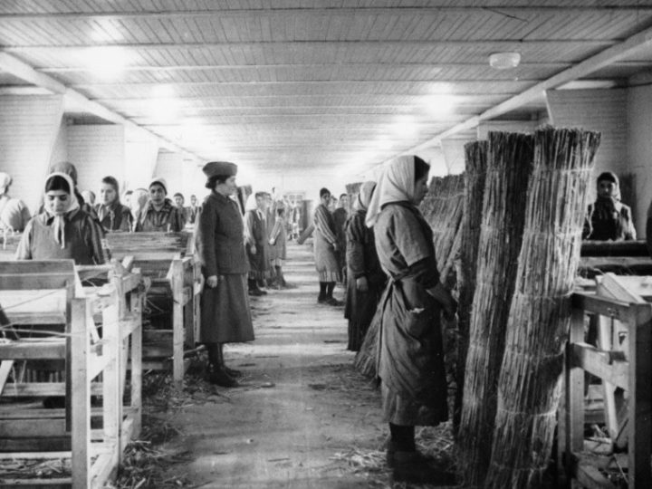 Holocausto cigano será tema de debate na CDH na terça