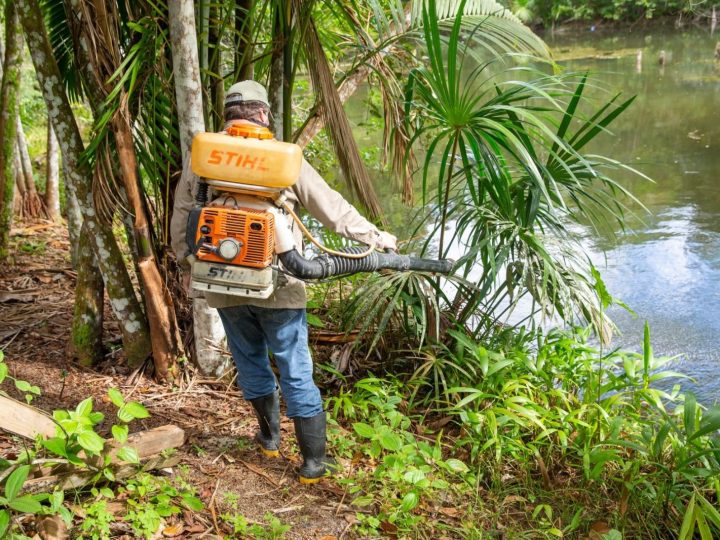 Manaus entra no período de maior transmissão da malária, alerta Semsa