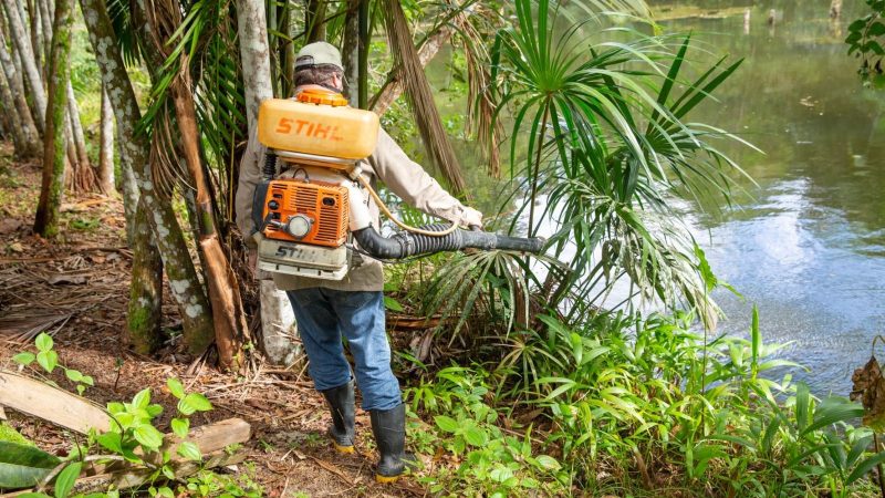 Manaus entra no período de maior transmissão da malária, alerta Semsa