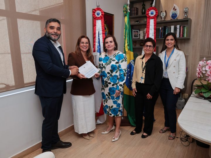 TCE-AM conclui relação de gestores com contas irregulares para envio ao TRE