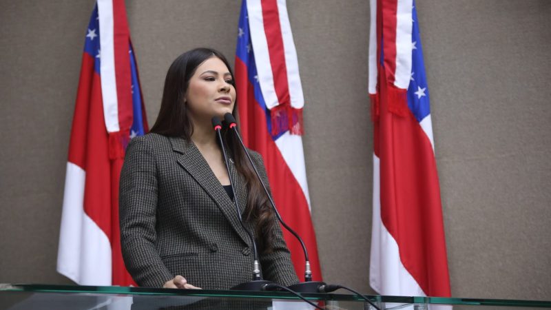 Brena Dianná destaca dia do estudante e do advogado na plenária da Aleam