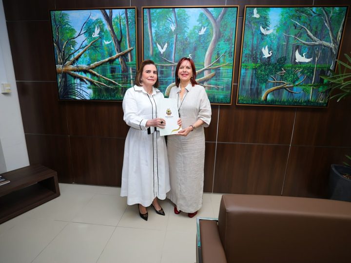 Presidente do TCE-AM entrega à Justiça Eleitoral relação de gestores com contas irregulares