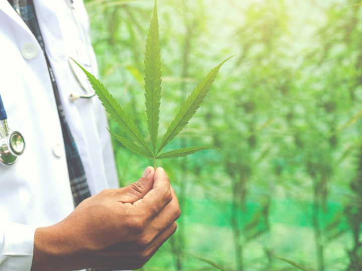 Nova regra muda receita para produtos à base de cannabis medicinal