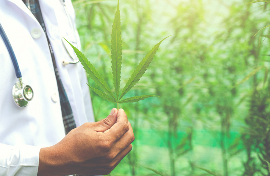 Nova regra muda receita para produtos à base de cannabis medicinal