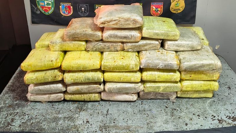 Base Arpão 2: Forças de Segurança apreendem 58 quilos de skunk avaliados em mais de R$1,1 milhão