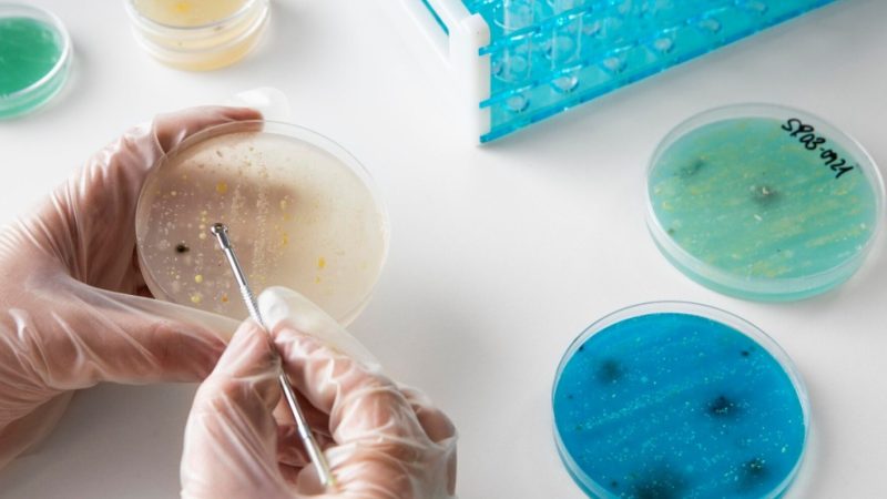 Exame de microbiota intestinal ajuda a enfrentar constipação na 3ª idade