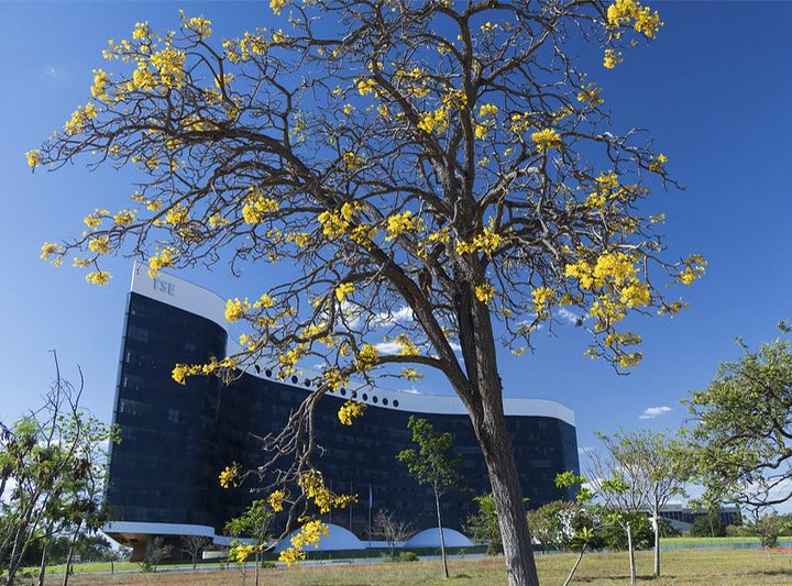 Dez candidatos com patrimônio milionário estão na lista do Bolsa Família