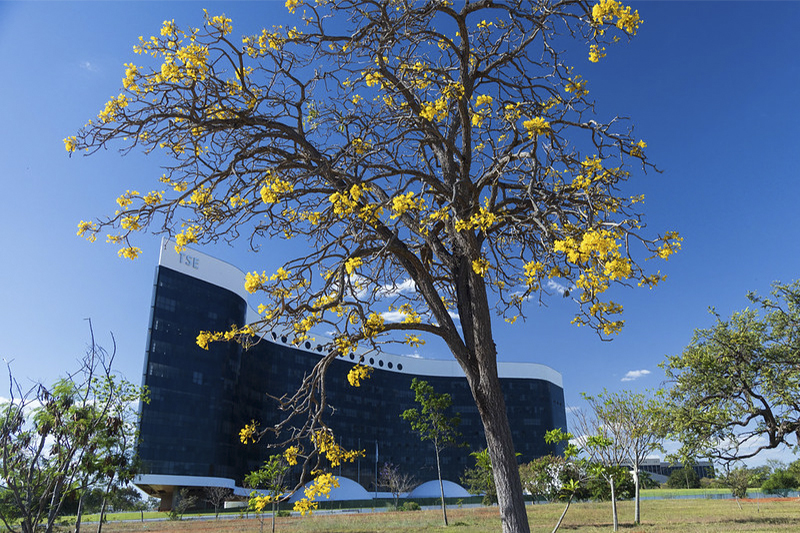 Dez candidatos com patrimônio milionário estão na lista do Bolsa Família