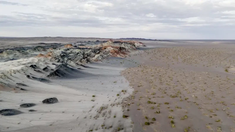 Fungos podem restaurar terras degradadas e combater crise climática