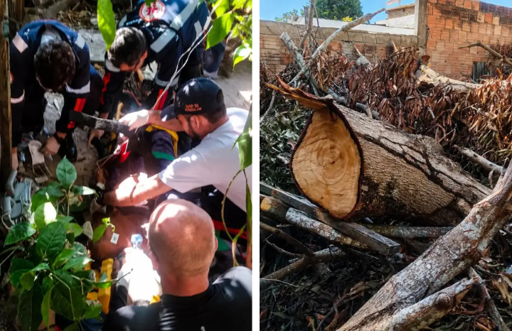 Idoso morre após ser atingido por tronco de árvore na zona Leste de Manaus