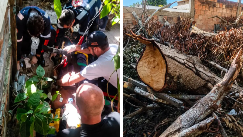 Idoso morre após ser atingido por tronco de árvore na zona Leste de Manaus