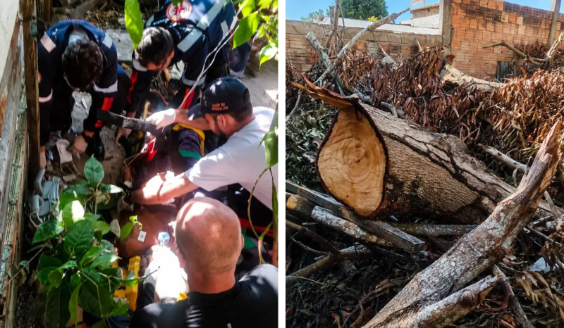 Idoso morre após ser atingido por tronco de árvore na zona Leste de Manaus