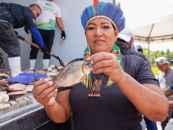 Prefeitura de Manaus entrega 85 mil peixes do programa ‘Jaraqui da Gente’ nos bairros Redenção e Tarumã