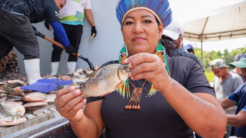 Prefeitura de Manaus entrega 85 mil peixes do programa ‘Jaraqui da Gente’ nos bairros Redenção e Tarumã