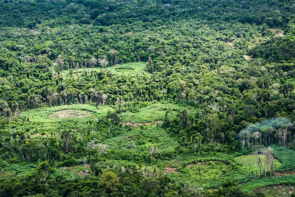 Indígenas catalogam espécies da fauna e da flora para proteger biodiversidade da Amazônia
